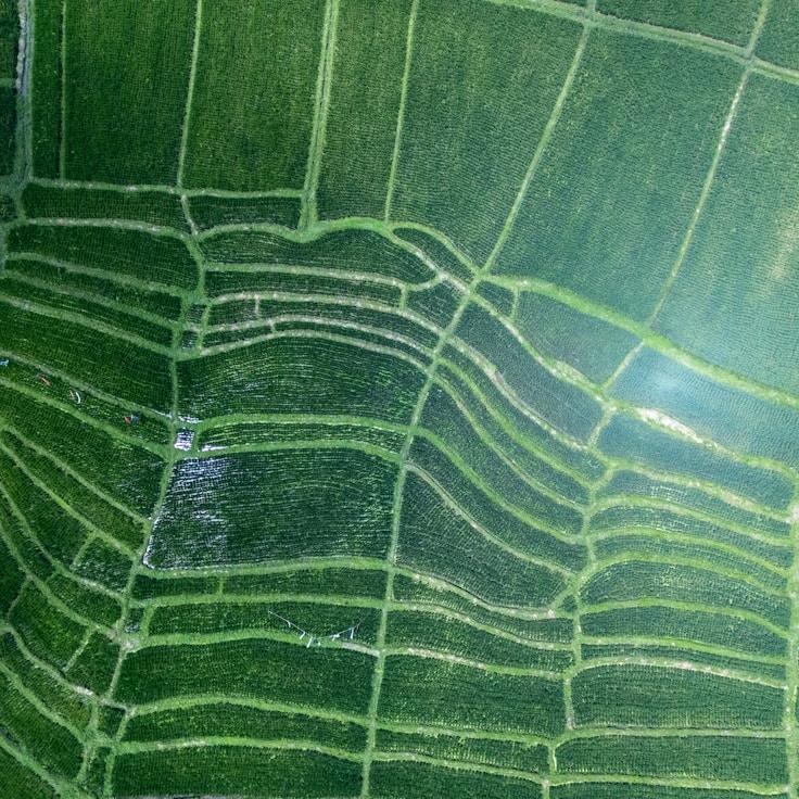 Entertainment zone at night in Spain